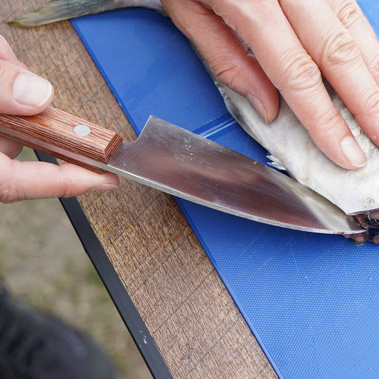 贝尔蒙特 Ko Deba 日式鱼片刀