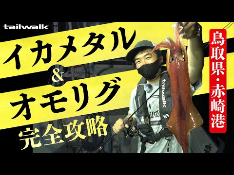 Carrete giratorio Tailwalk Speaky 3500HGX