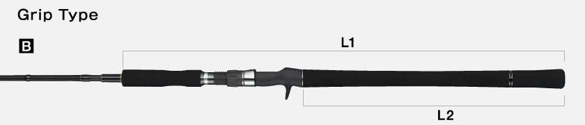 Caña de jigging mecánica de altura Tailwalk JIGFORCE SSD C604 