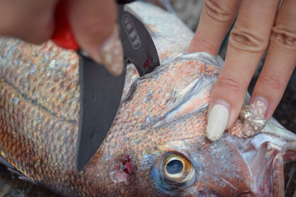 Tijeras multifuncionales para pescado Hapyson 