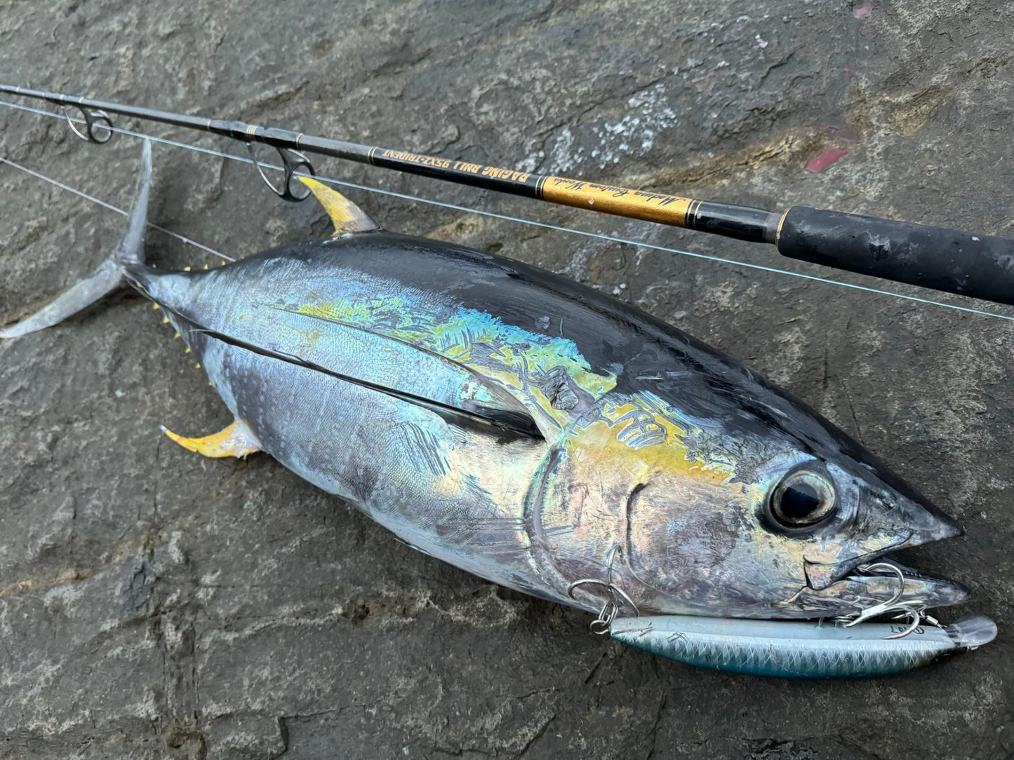 BUEN CEBO RESPETO 190F Topwater Minnow 