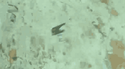 Little Jack Forma 勺子微型夹具