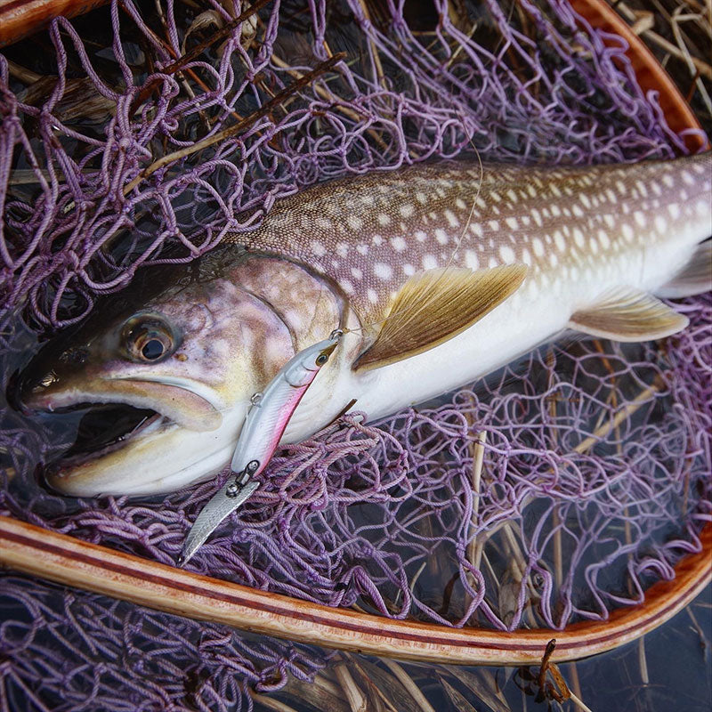 小杰克 HymiR 勺形诱饵