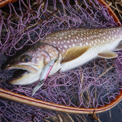 小杰克 HymiR 勺形诱饵