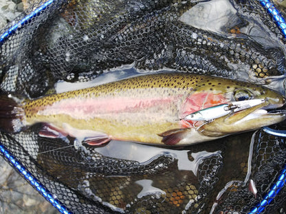 小杰克 HymiR 勺形诱饵