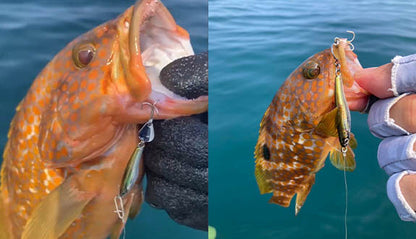 小杰克点燃的刀片金属夹具