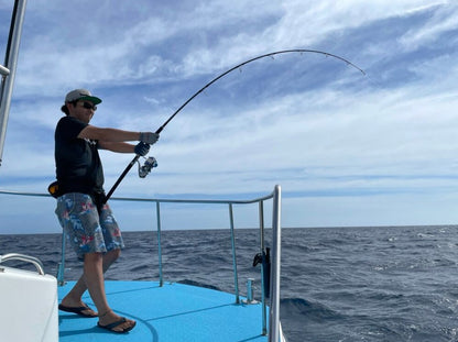 Cinturón de combate offshore Tailwalk 