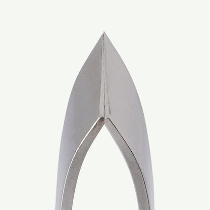 贝尔蒙特斜刃鱼骨去除器