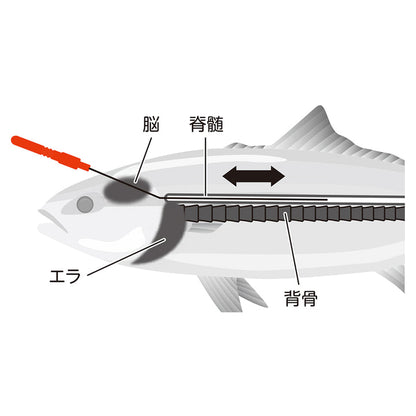 贝尔蒙特形状记忆合金新溪吉米线