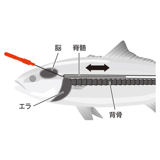 贝尔蒙特形状记忆合金新溪吉米线