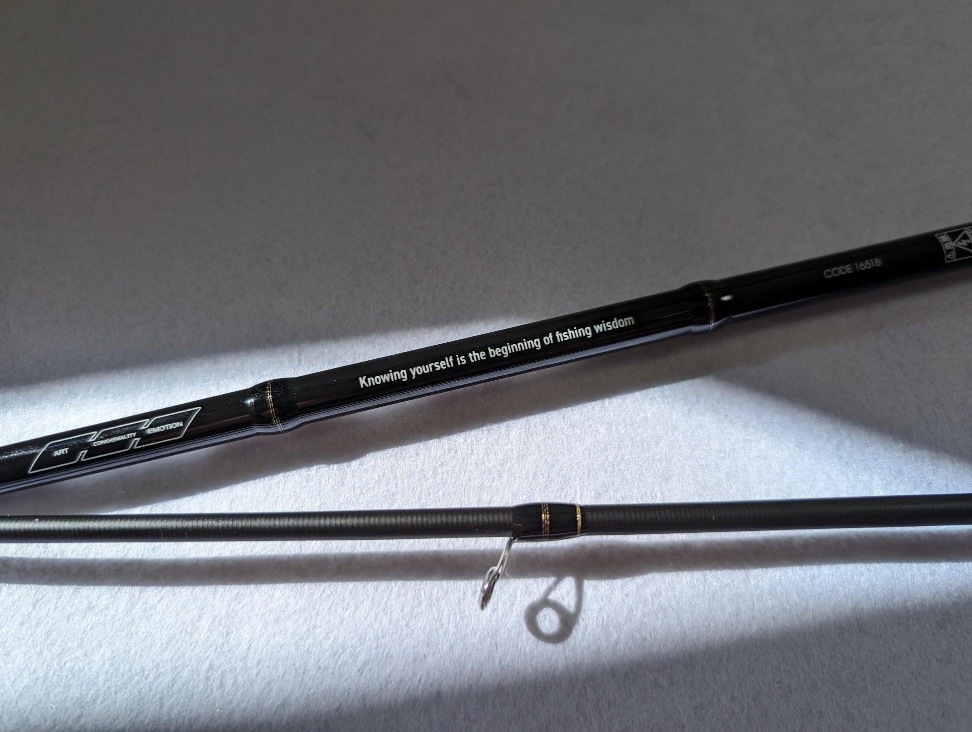 Tailwalk EGIST SSD 86L SL Squid Fishing Rod slogan of egist