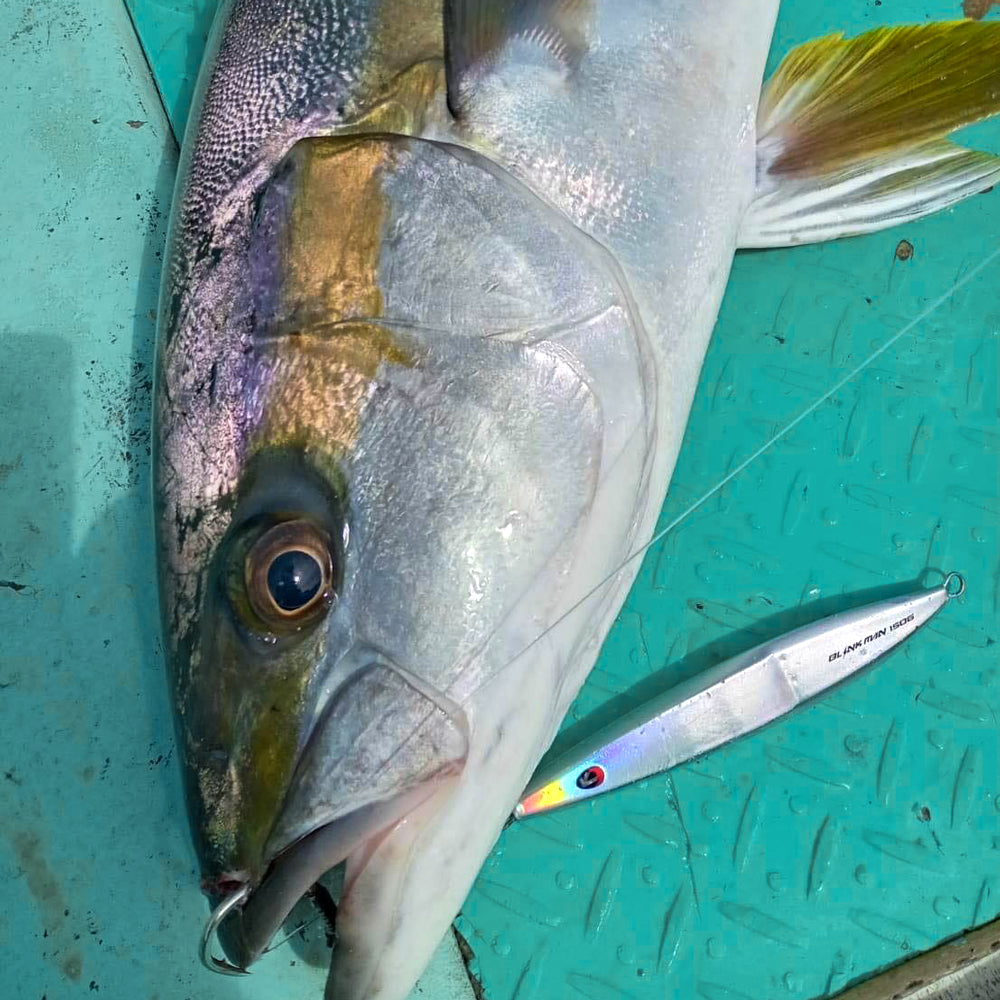 Tailwalk Blink Man 慢速金属跳汰机