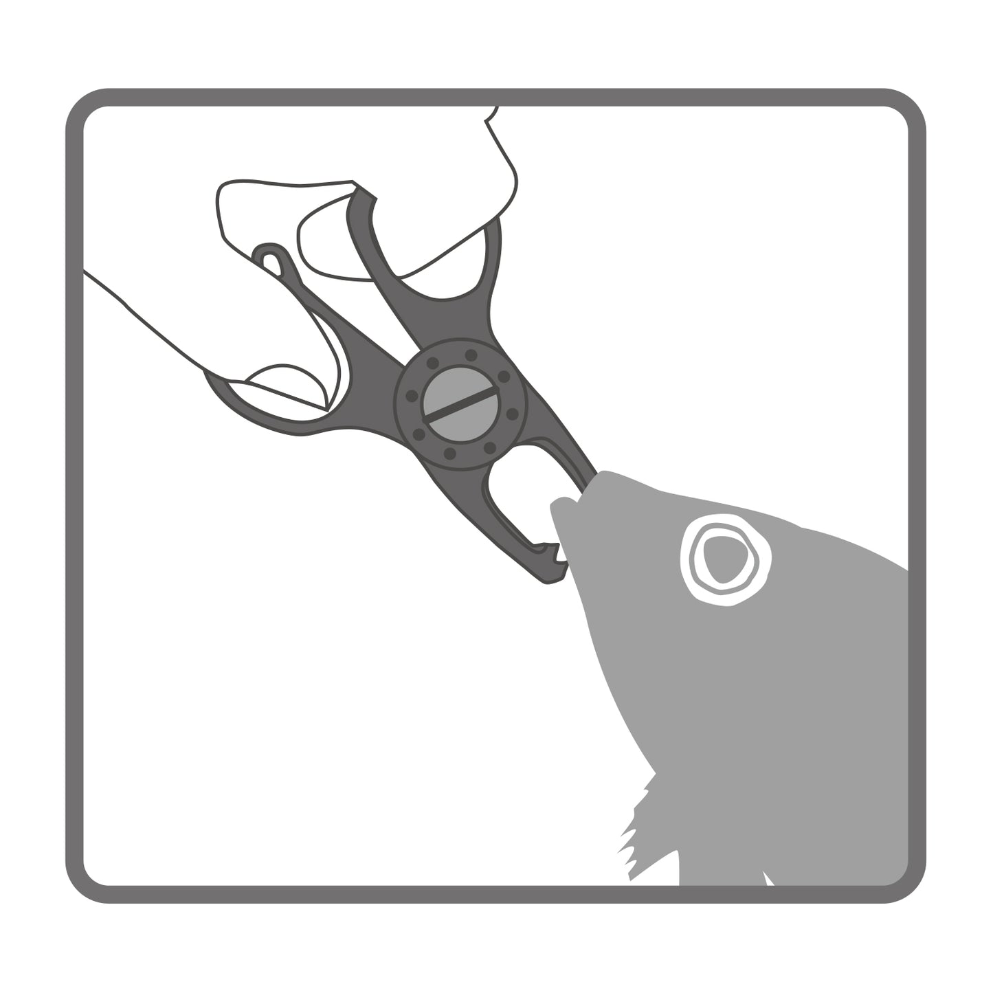 Daiichiseiko Gar Grip Nano MC Fish Grip 