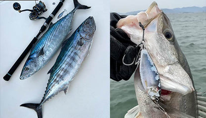 Little Jack Forma 勺子微型夹具