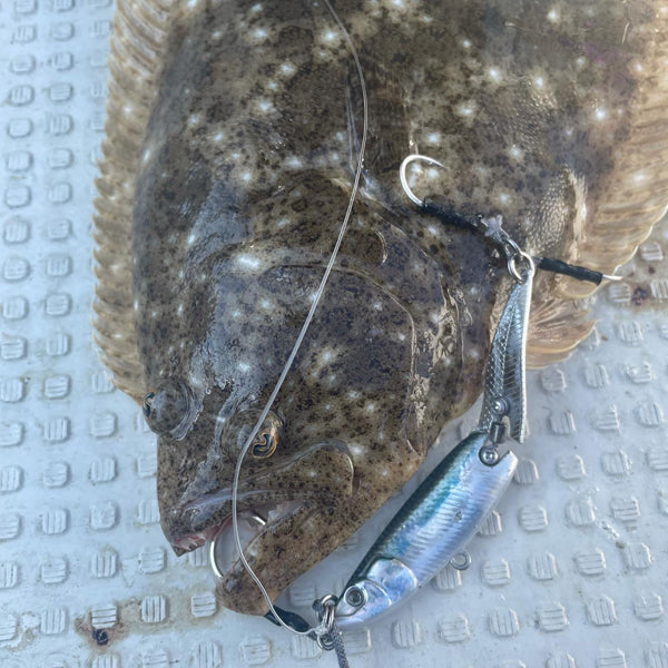 小杰克 HymiR 勺形诱饵