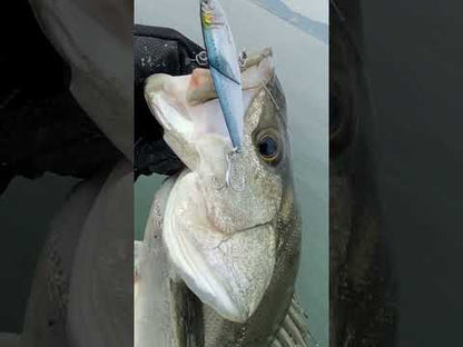 Little Jack More Keen 01 Vibe Blade 