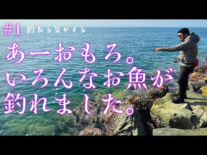 MAGBITE Aji Killer Ajing 微型铅头