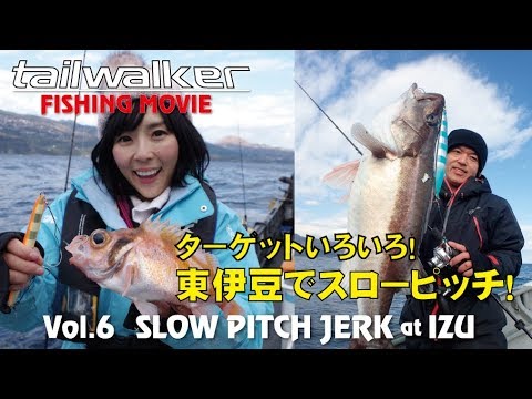 tailwalk slow pitch jigging field report