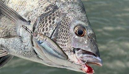 Little Jack Forma 勺子微型夹具