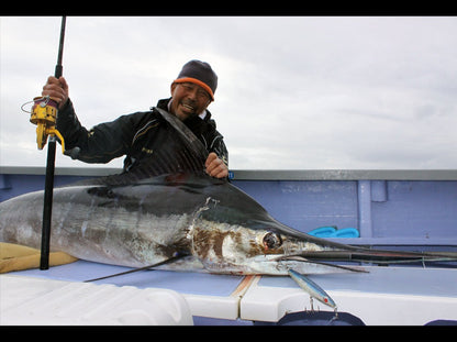 Tailwalk MB SPRINT STICK 711H 水面钓竿