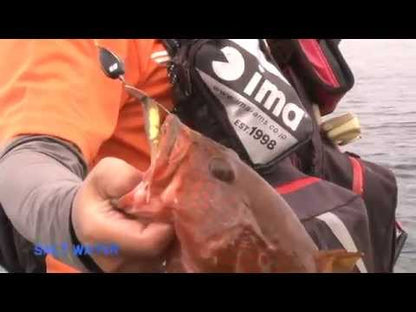 Señuelo blando Fish Arrow Flash J Split de 4" SW 